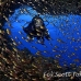sweeper_golden_dae_ni_h_0708_egy2745.jpg